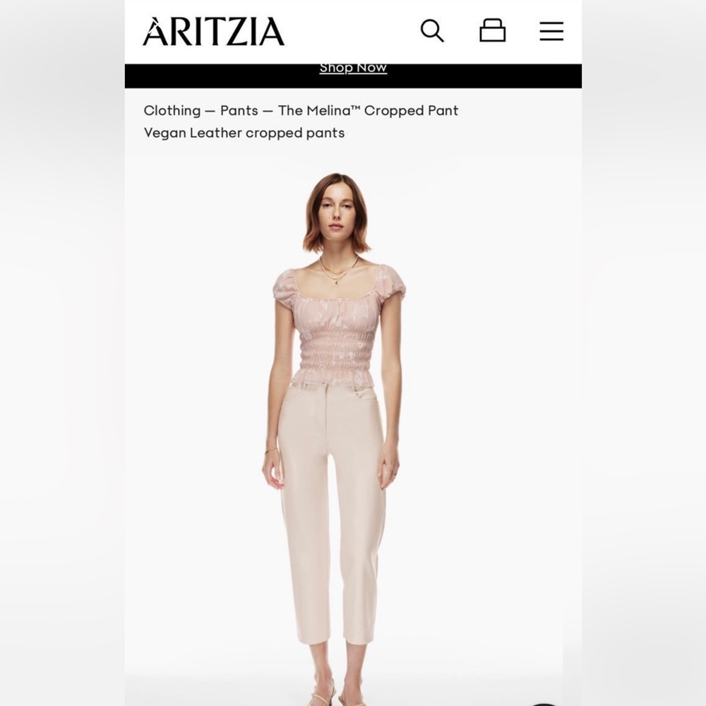 Aritzia Wilfred Melina Cropped